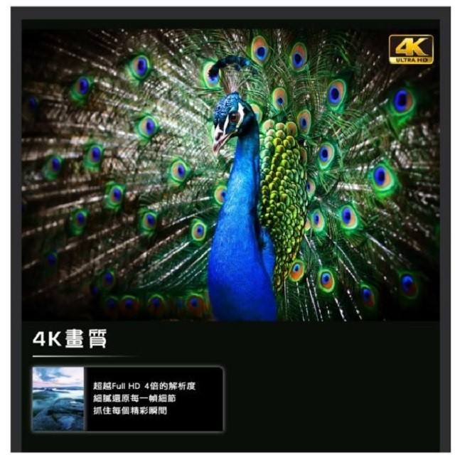 HERAN 禾聯HD-65MF1  65吋4K 液晶電視 (含運無安裝無視訊盒)