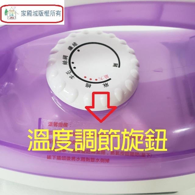 TECO 東元 XYFYG049 蒸氣熨斗
