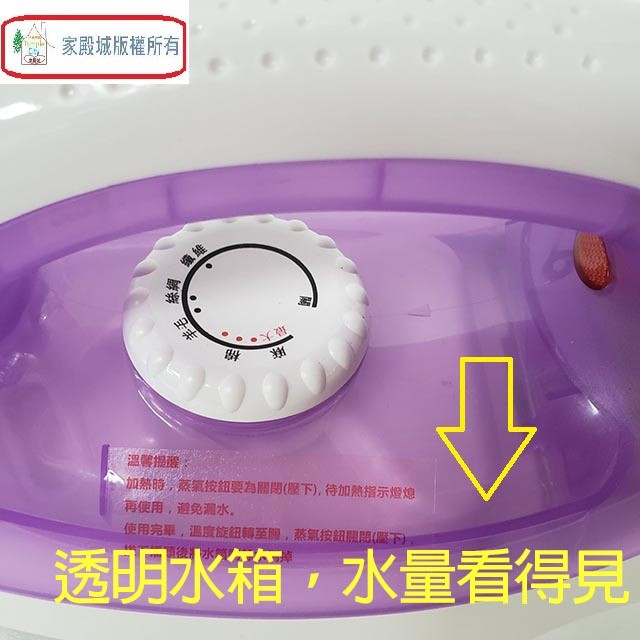 TECO 東元 XYFYG049 蒸氣熨斗