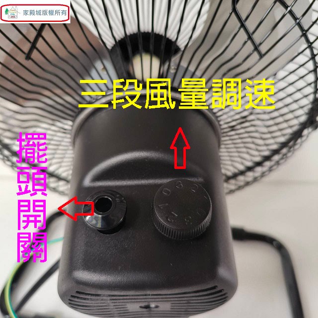 雙星 TS-1002 10吋桌扇