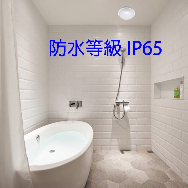 億光10W 星庭 LED 吸頂燈(白光)