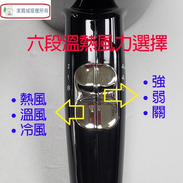 達新 TS-2900 銀離子抗菌吹風機