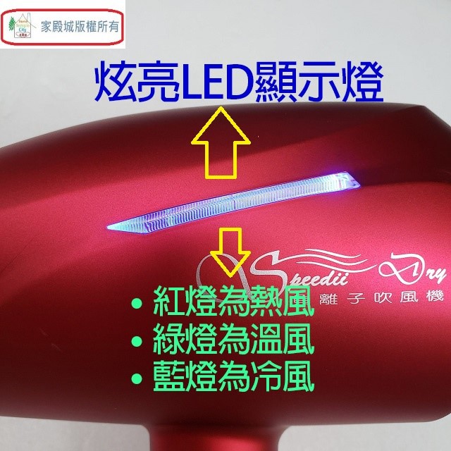 達新 TS-2969 銀離子抗菌負離子吹風機