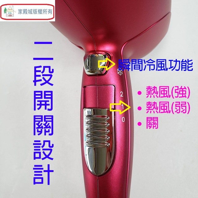 達新 TS-2888 負離子吹風機