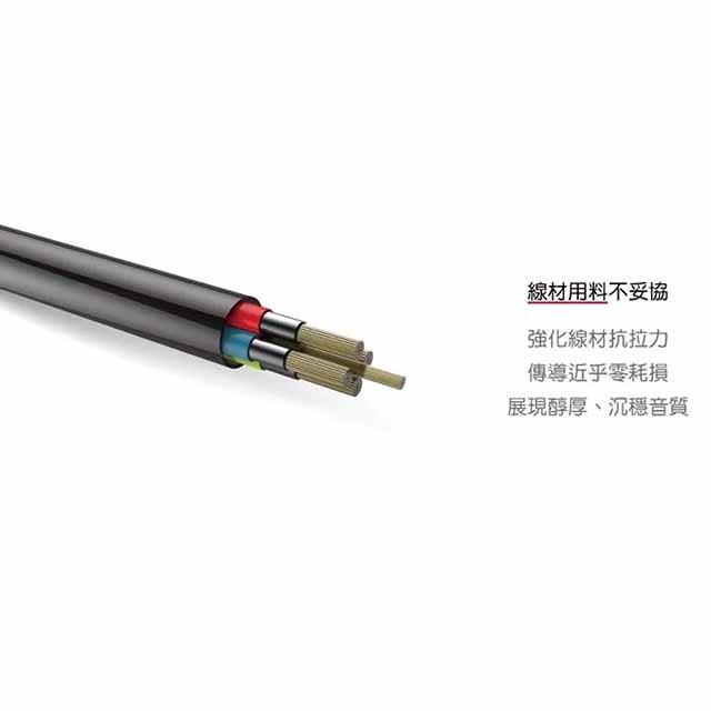出清品~~AIWA 愛華 ESTM-100 入耳式有線耳機(顏色隨機出貨)