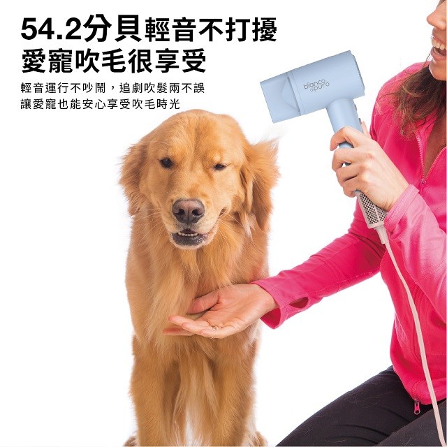 彼安特雙電壓高速負離子吹風機 HD050/HD051