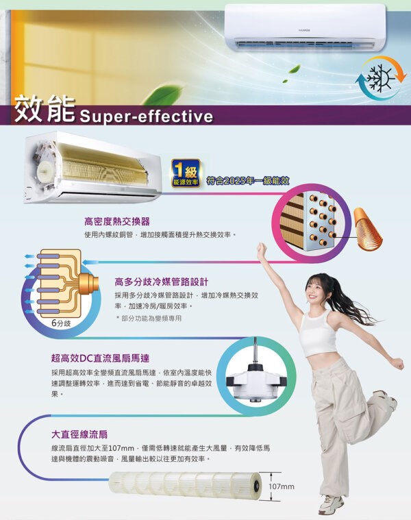 華菱 BHI/O-28KIGS變頻冷專型分離式冷氣(含標準安裝)(限高雄市區)