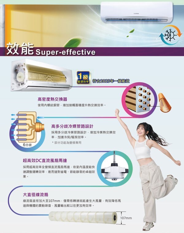 華菱 BHI/O-41KIGS變頻冷專型分離式冷氣(含標準安裝)(限高雄市區)